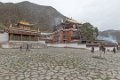 4477 Xiahe Labrang Klooster