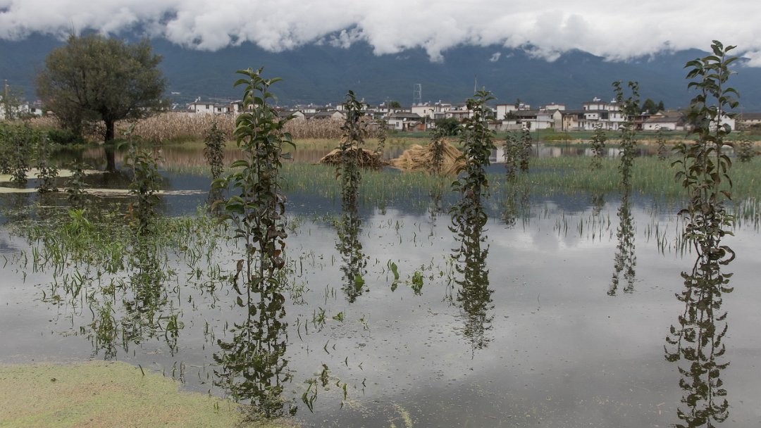 5394 Dali Omgeving Dali.jpg