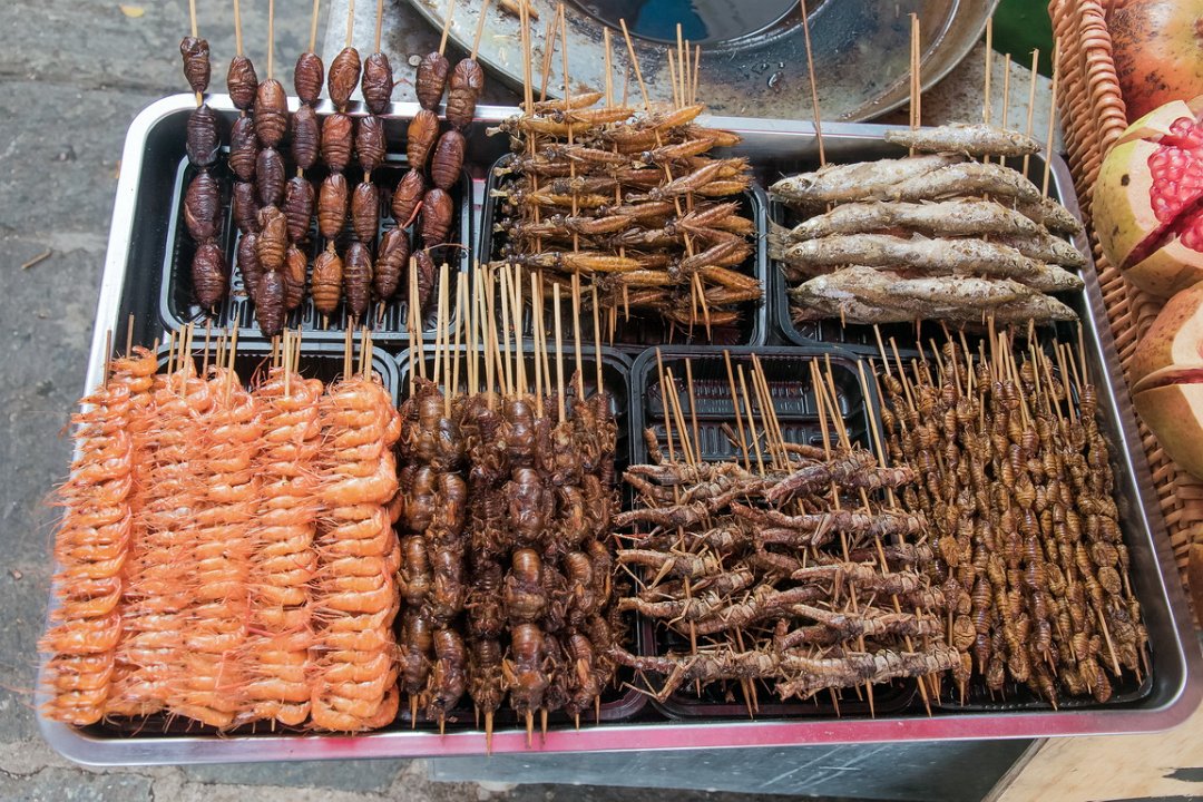 5411 Dali Straatbeeld Dali.jpg