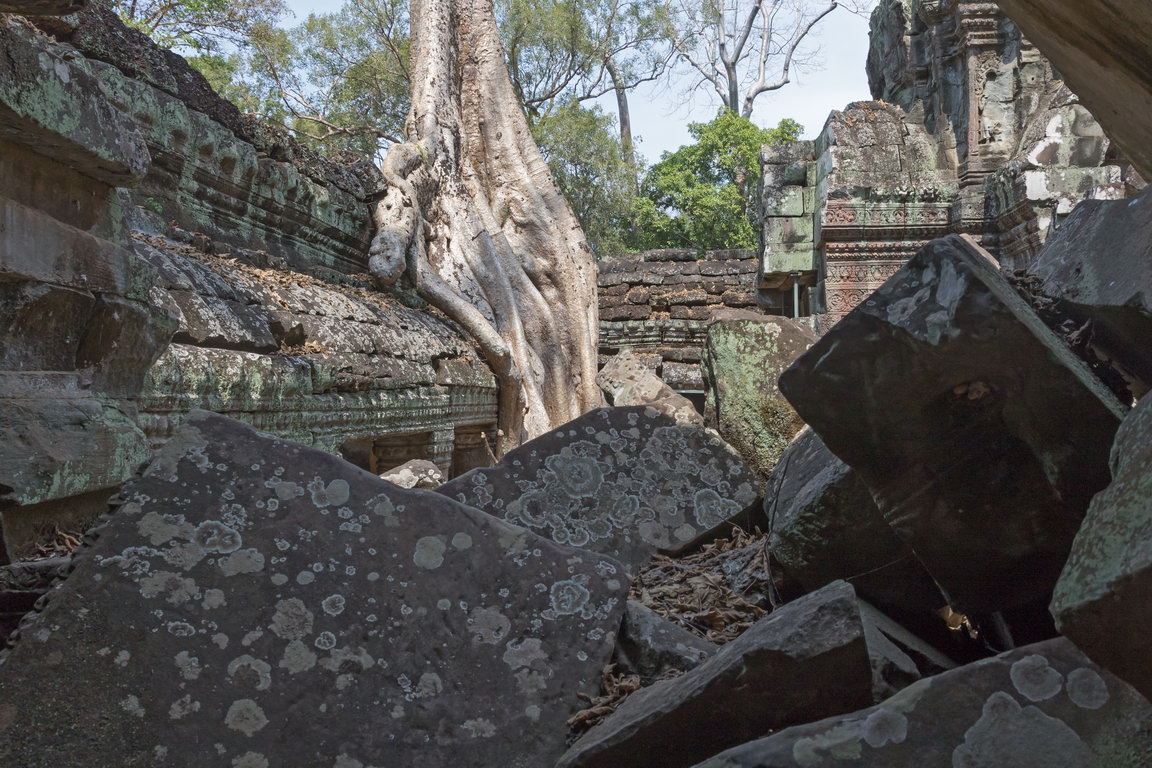 0918 Siem Reap Ta Prohm.jpg