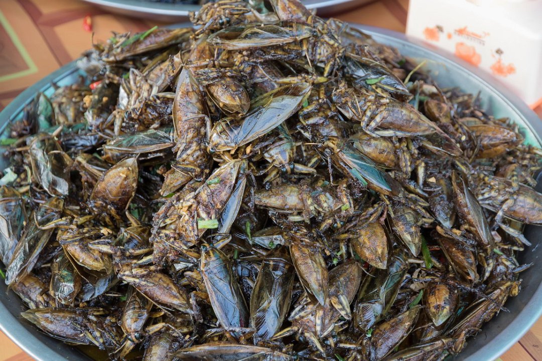 0718 Onderweg Snacks.jpg