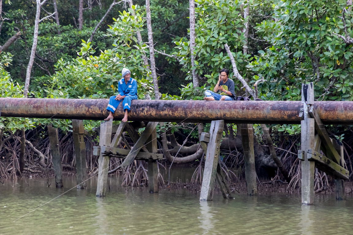 7382 Balikpapan Mangrovebos.jpg