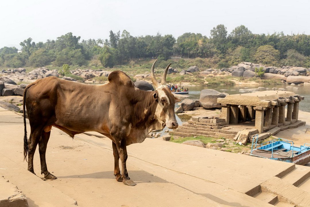 3162 Hampi Ghats.jpg