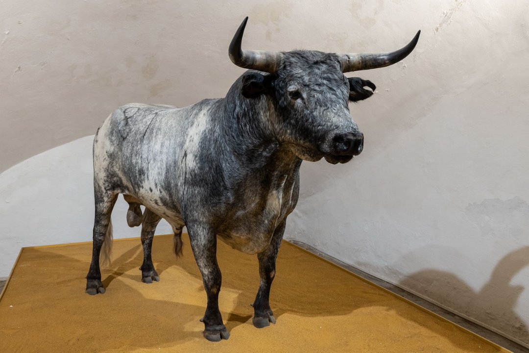 4794 Sevilla Plaza de Toros.jpg