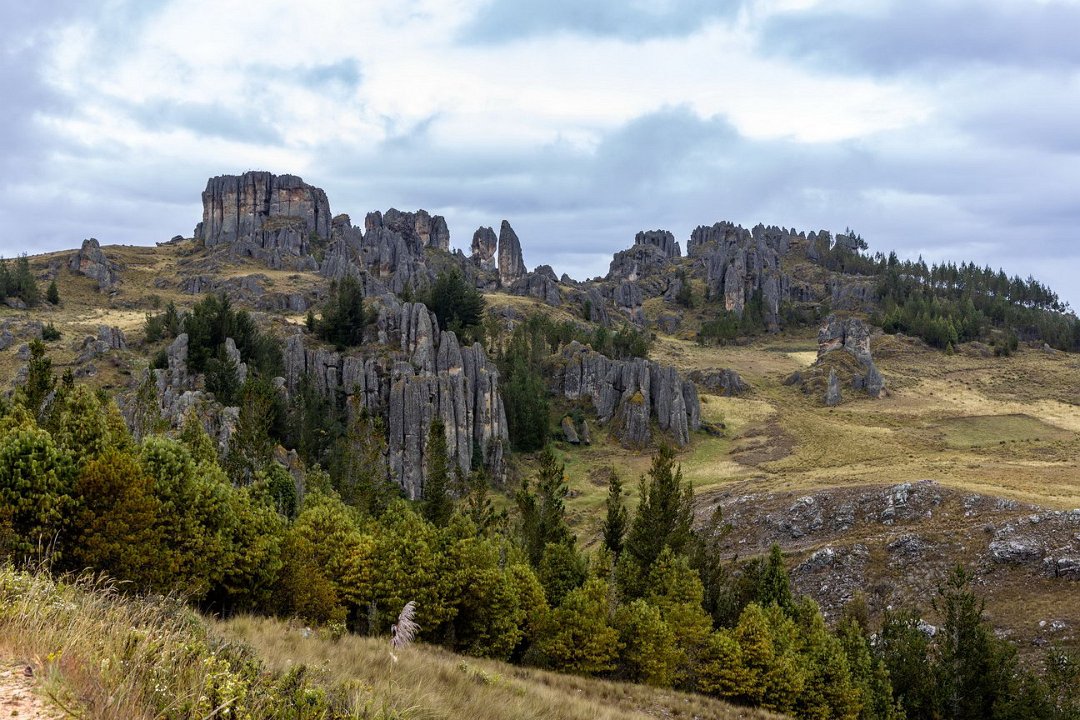 6118 Cajamarca Cumbemayo.jpg