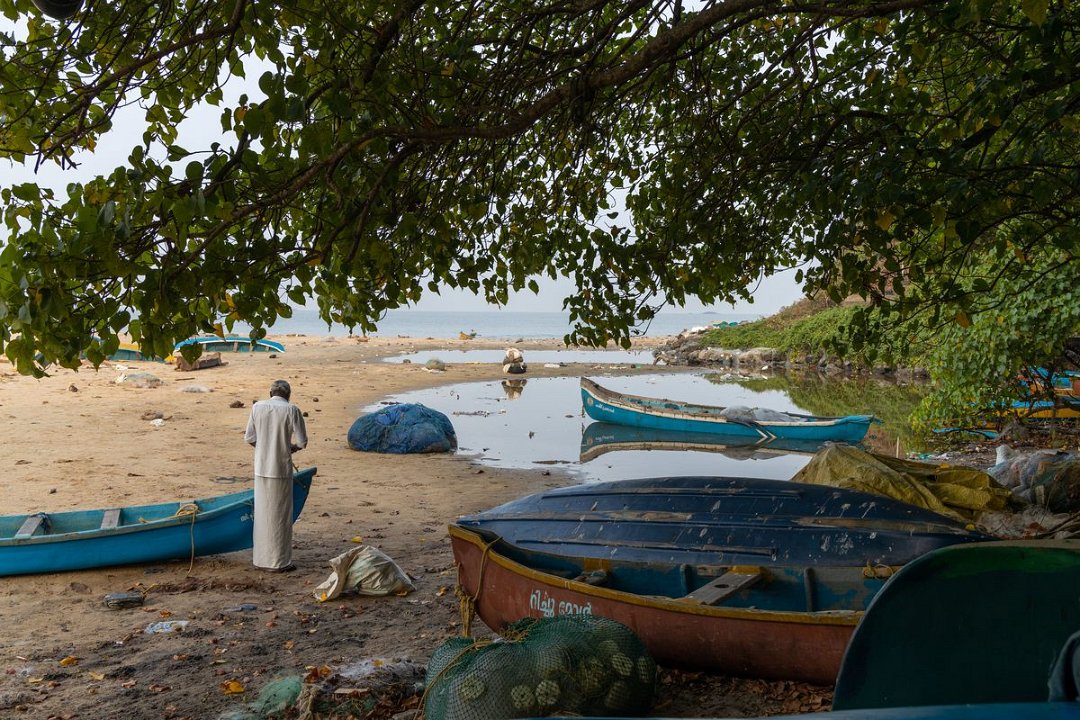 7886 Thalassery Vismarkt.jpg