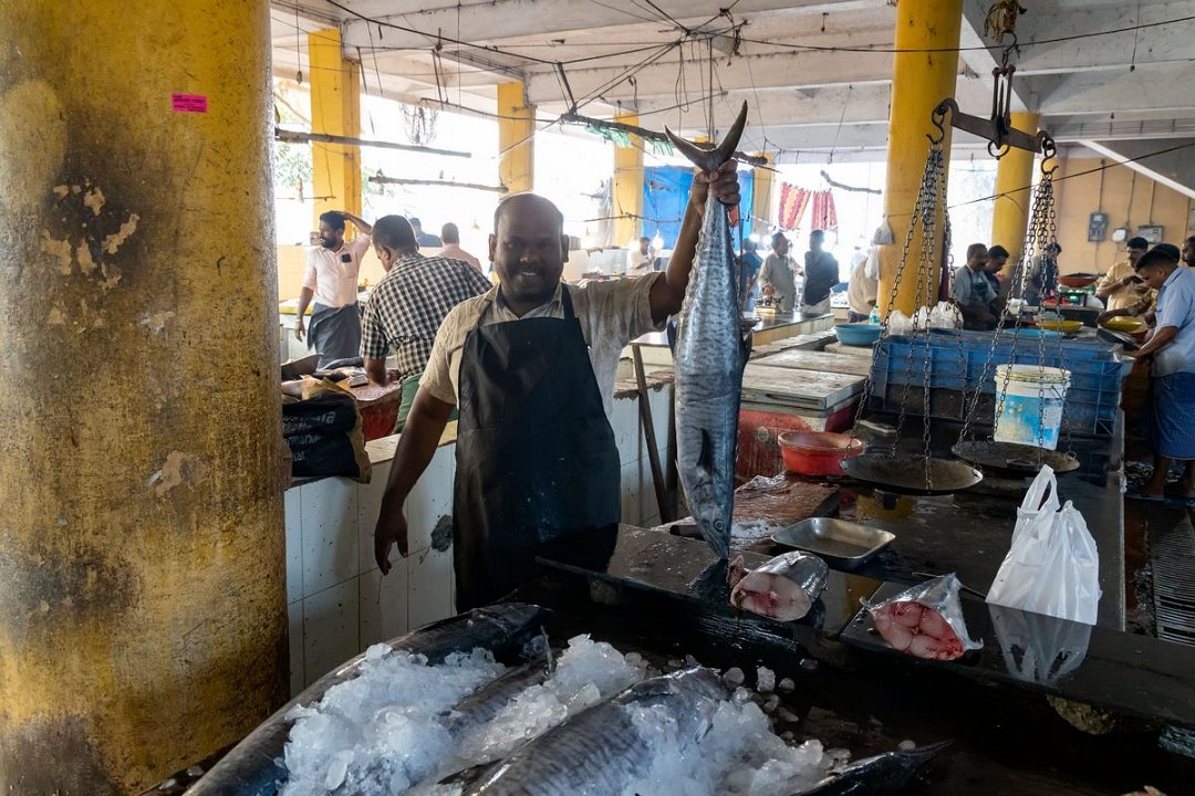 7896 Thalassery Vismarkt.jpg