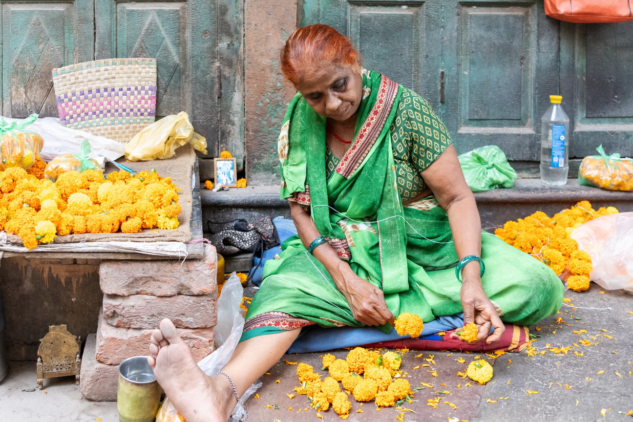 6606 Delhi Oude stad.jpg