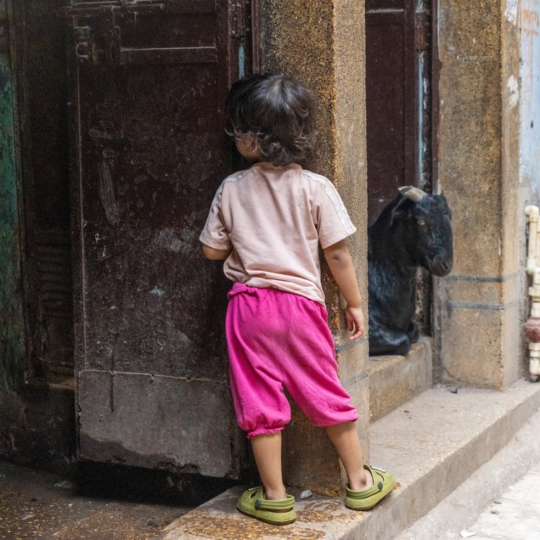 6611 Delhi Oude stad.jpg