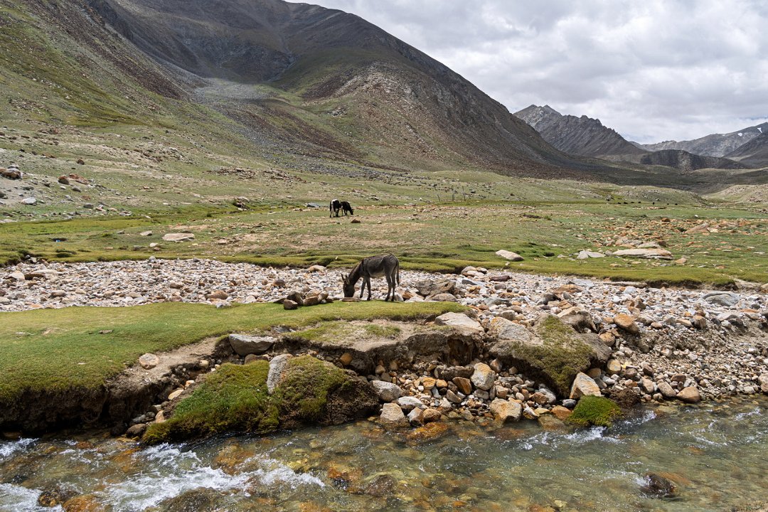 1597 Onderweg Naar Leh.jpg