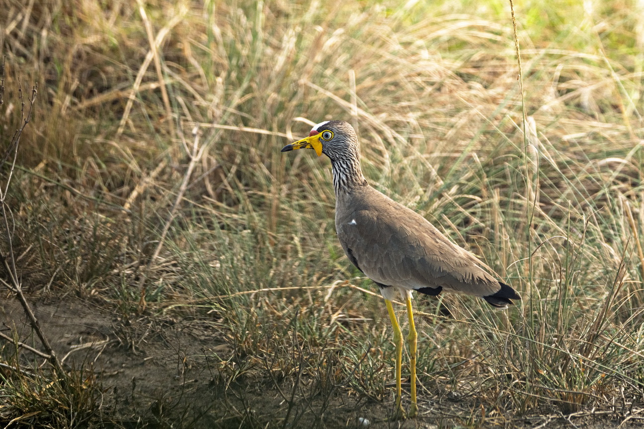 4770 Q E Park Lelkievit.jpg