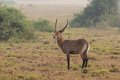4700 Q E Park Defassa Waterbok
