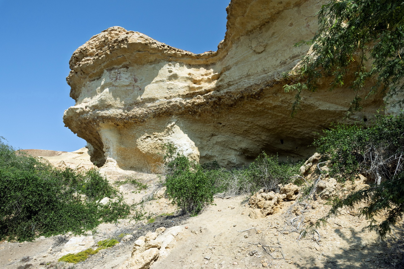 7770 Arcos Lagoon Arch.jpg