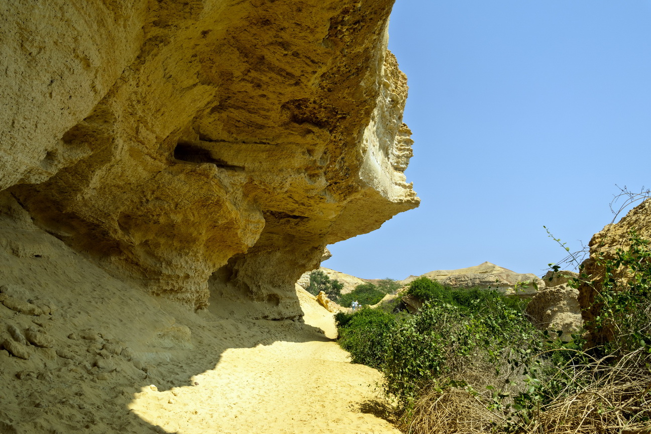 7795 Arcos Lagoon Arch.jpg