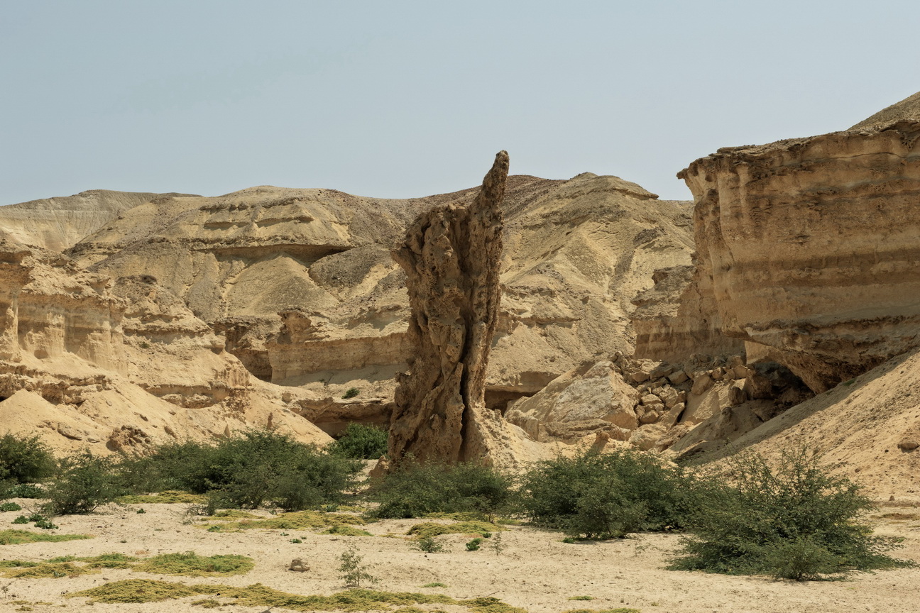 7801 Arcos Lagoon Arch.jpg