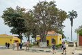 7876 Benguela Baobab