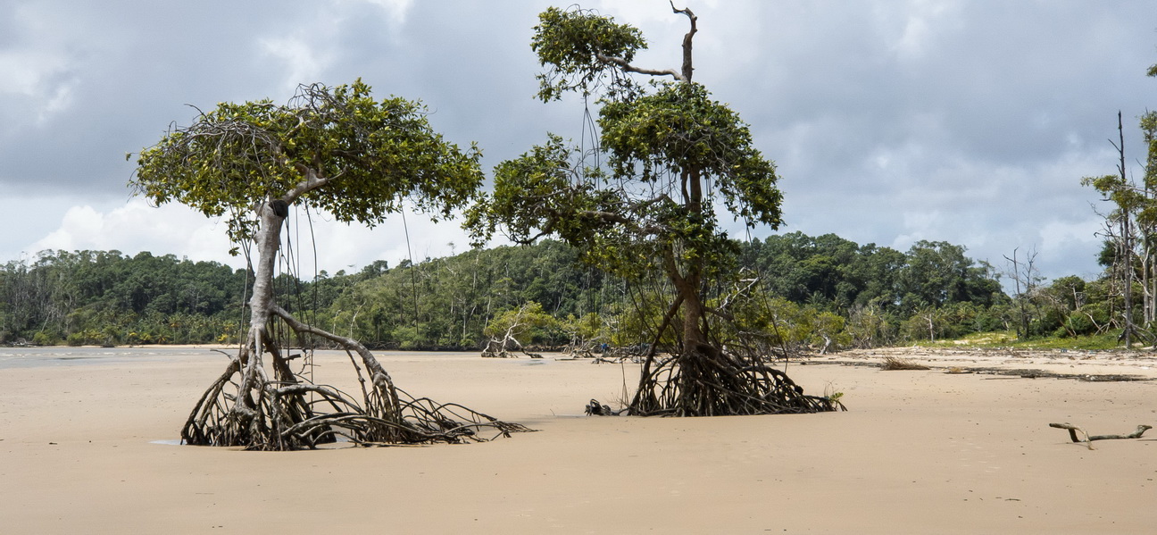 110108 Marajo eiland Strand.jpg