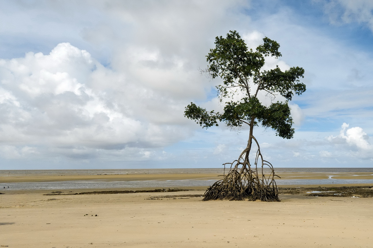 151106 Marajo eiland Strand.jpg