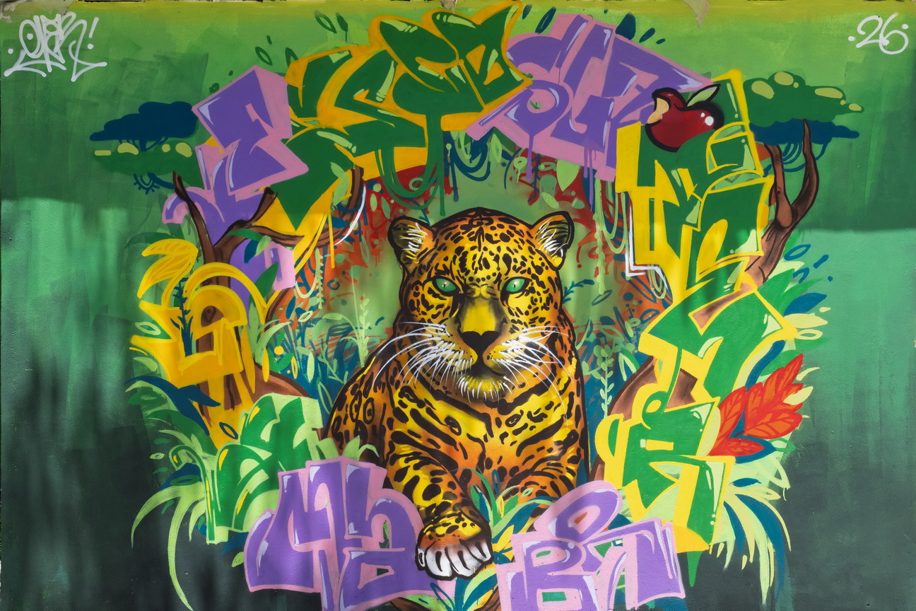 6458 Sao Luis Straatkunst.jpg