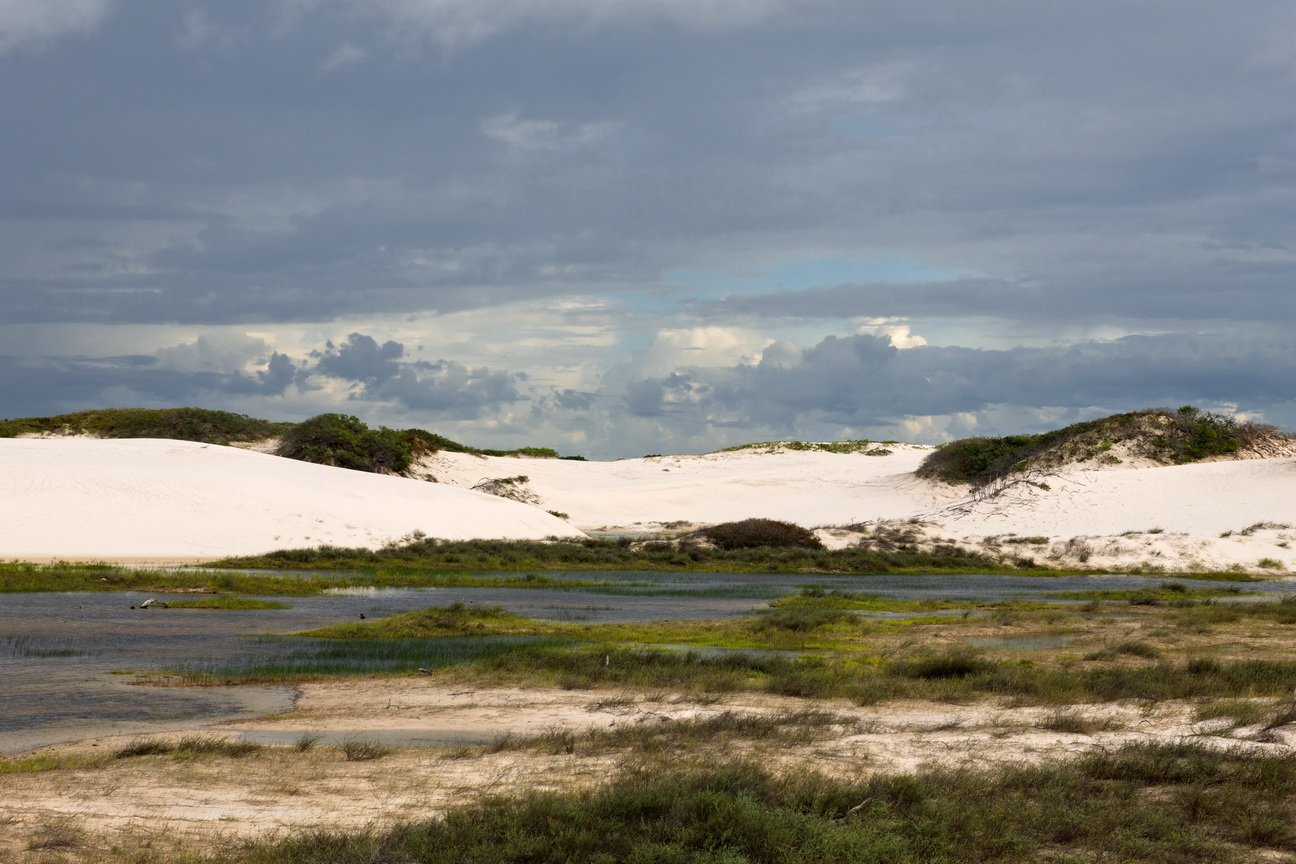 6583 Barreirinhas Lencois Maranhense NP.jpg