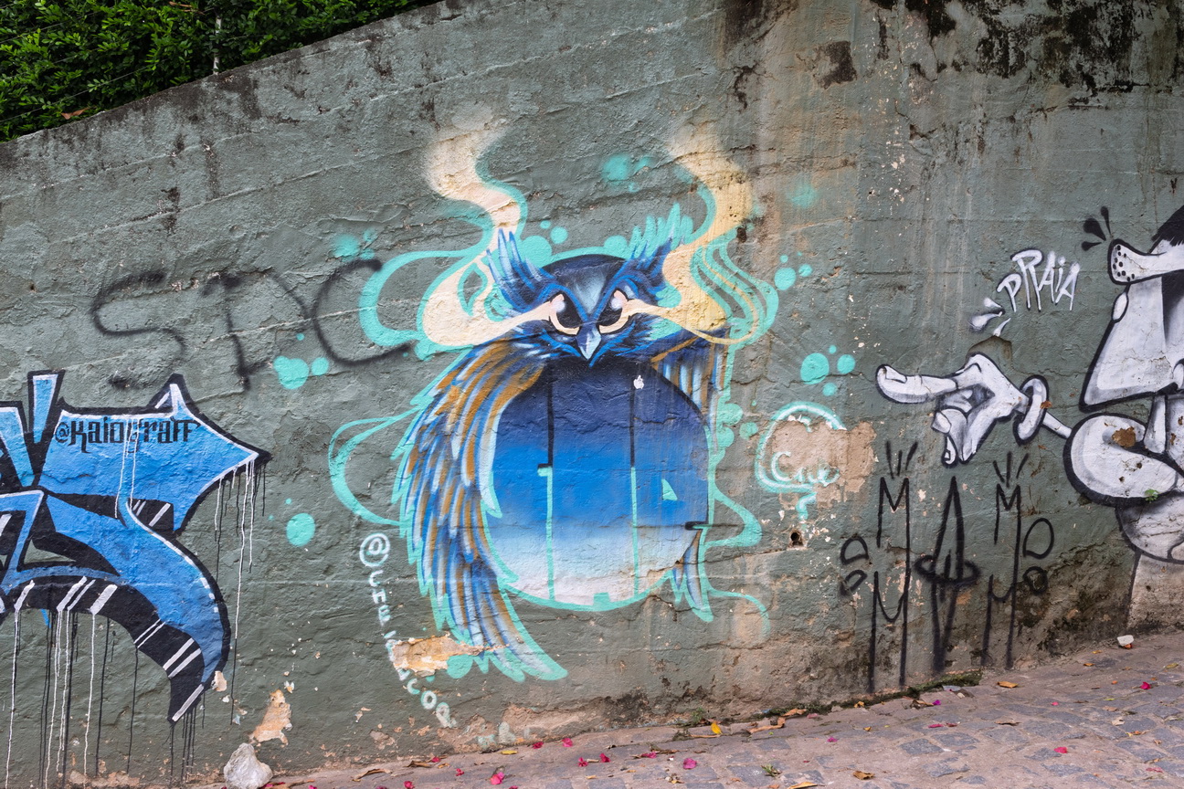 6910 Pipa Straatkunst.jpg