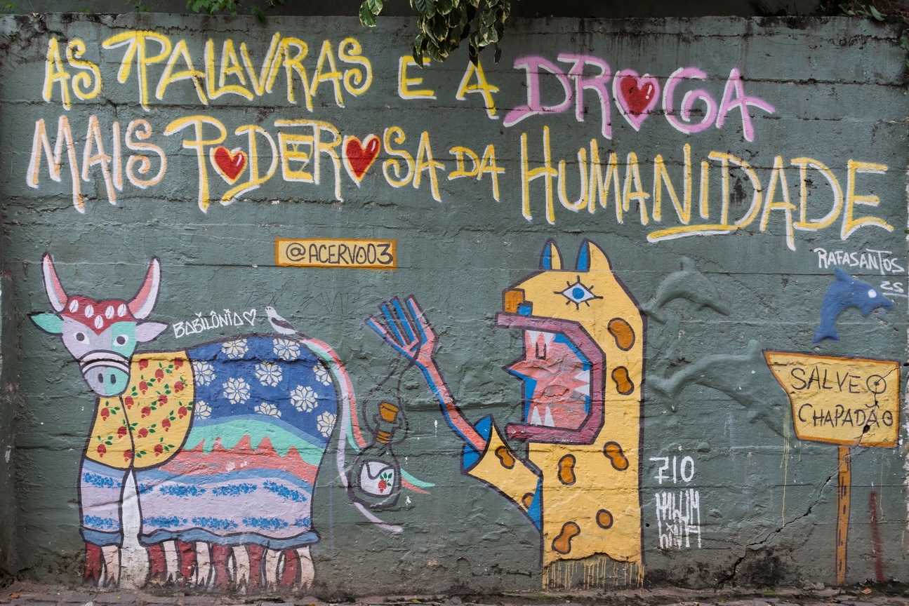 6911 Pipa Straatkunst.jpg