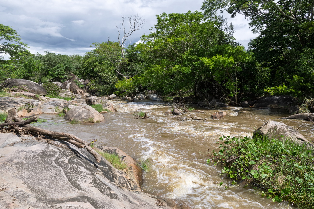 6930 Inga Pera do Inga.jpg