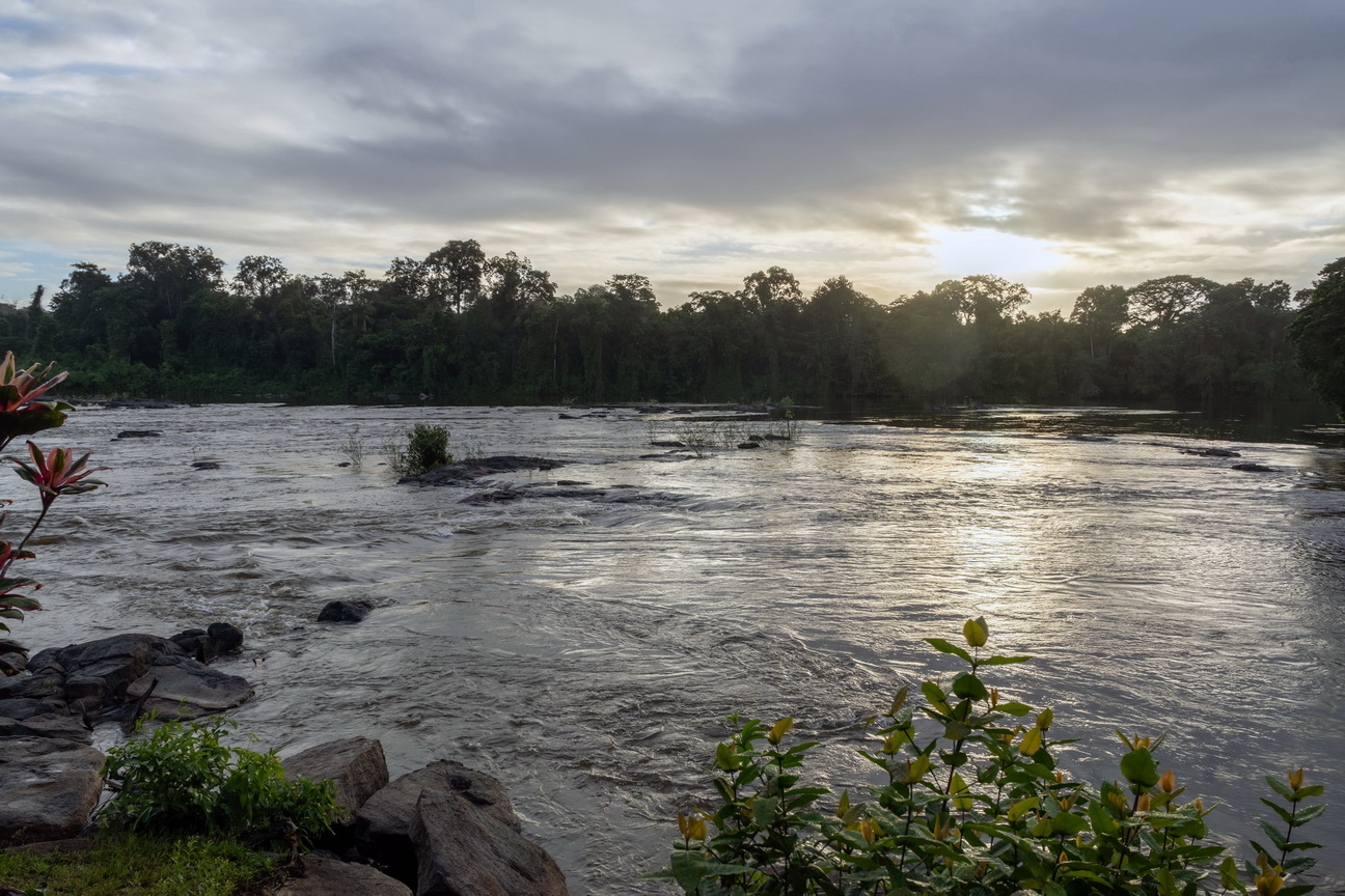 Boven Suriname Rivier.jpg