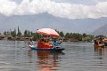 2025-2 Kashmir Zanskar Ladakh